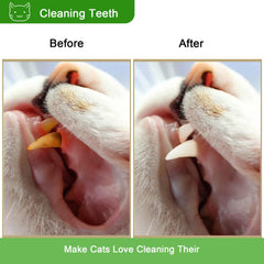 Leoezx Silvervine Sticks kitten playing scene shows engagement and exercise.