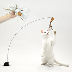 Leo's Paw bird toy set displays five colorful birds with feathers for engaging play.