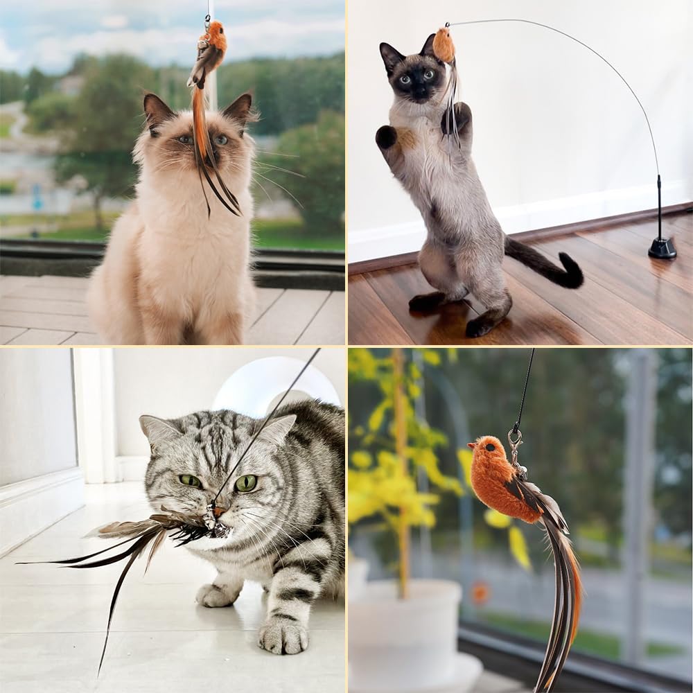Leo's Paw self-holding base supports autonomous play on any flat surface.