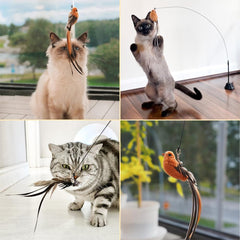 Leo's Paw self-holding base supports autonomous play on any flat surface.
