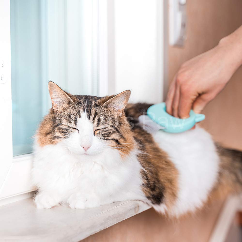 Leo's Paw suave-masaje-cuidado-pelaje: experiencia agradable de grooming