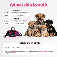 LEOSASA double dog leash shows adjustable length for medium and large dogs