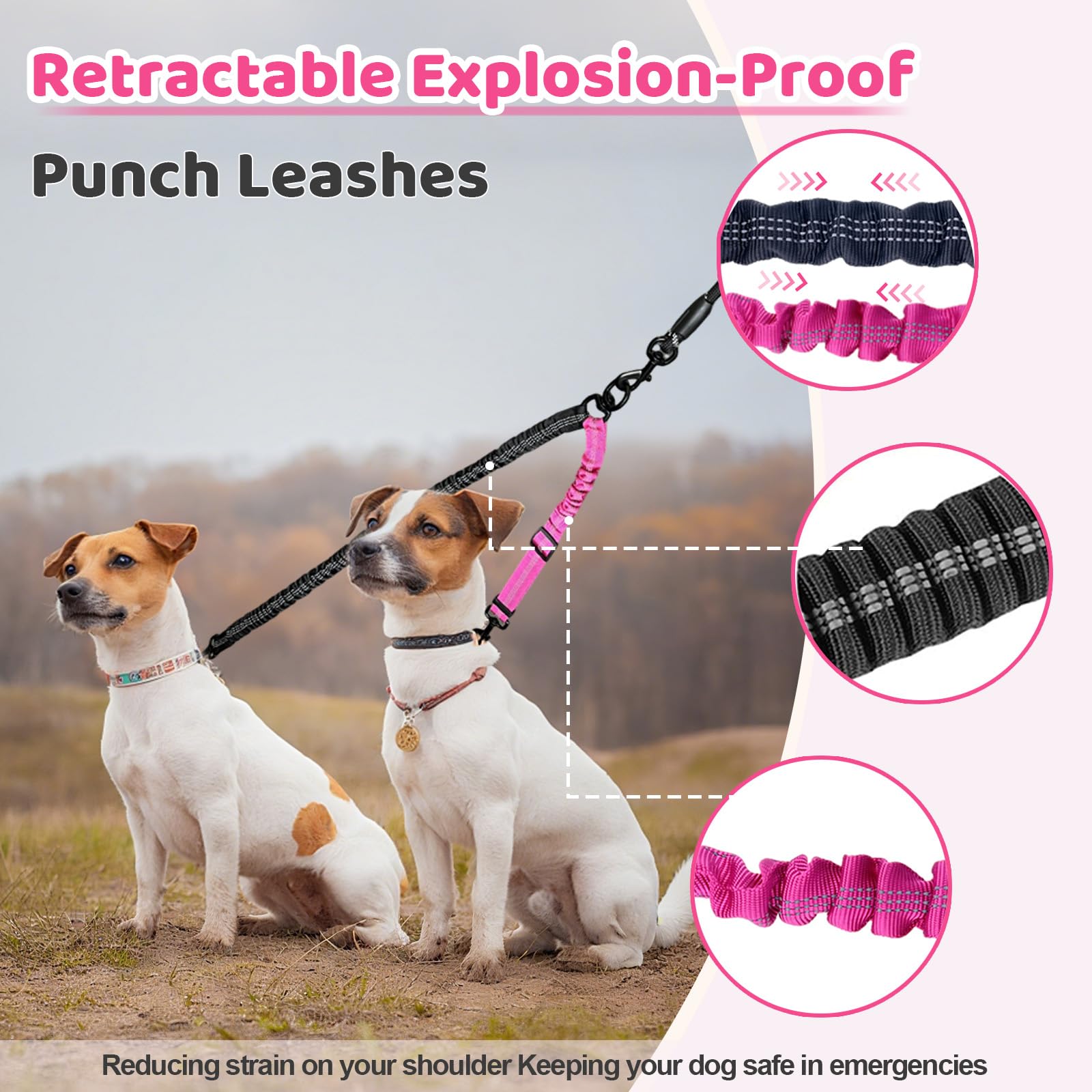 LEOSASA double dog leash car seatbelt attachment keeps dogs secure in car