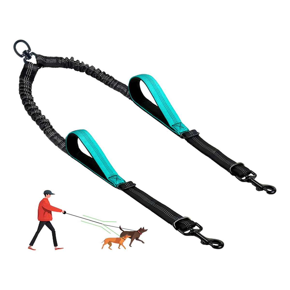 LEOSASA double dog leash with no-tangle splitter during two-dog walk for smoother control.