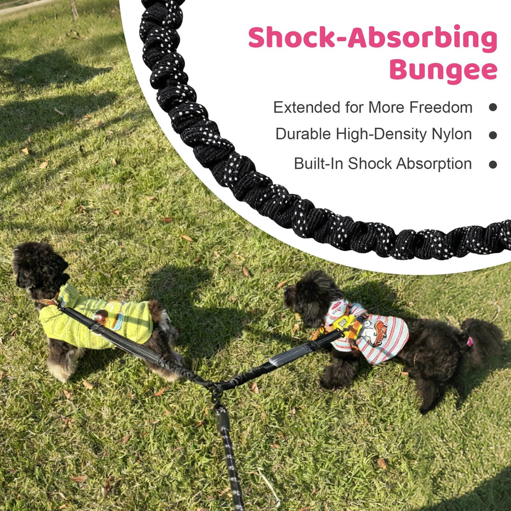 LEOSASA reflective strap enhances visibility for safer nighttime dog walks.