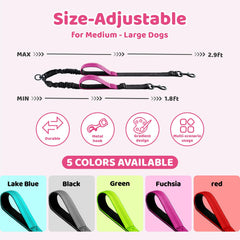 LEOSASA Double Dog Leash shows tangle-free setup for two dogs during walks.