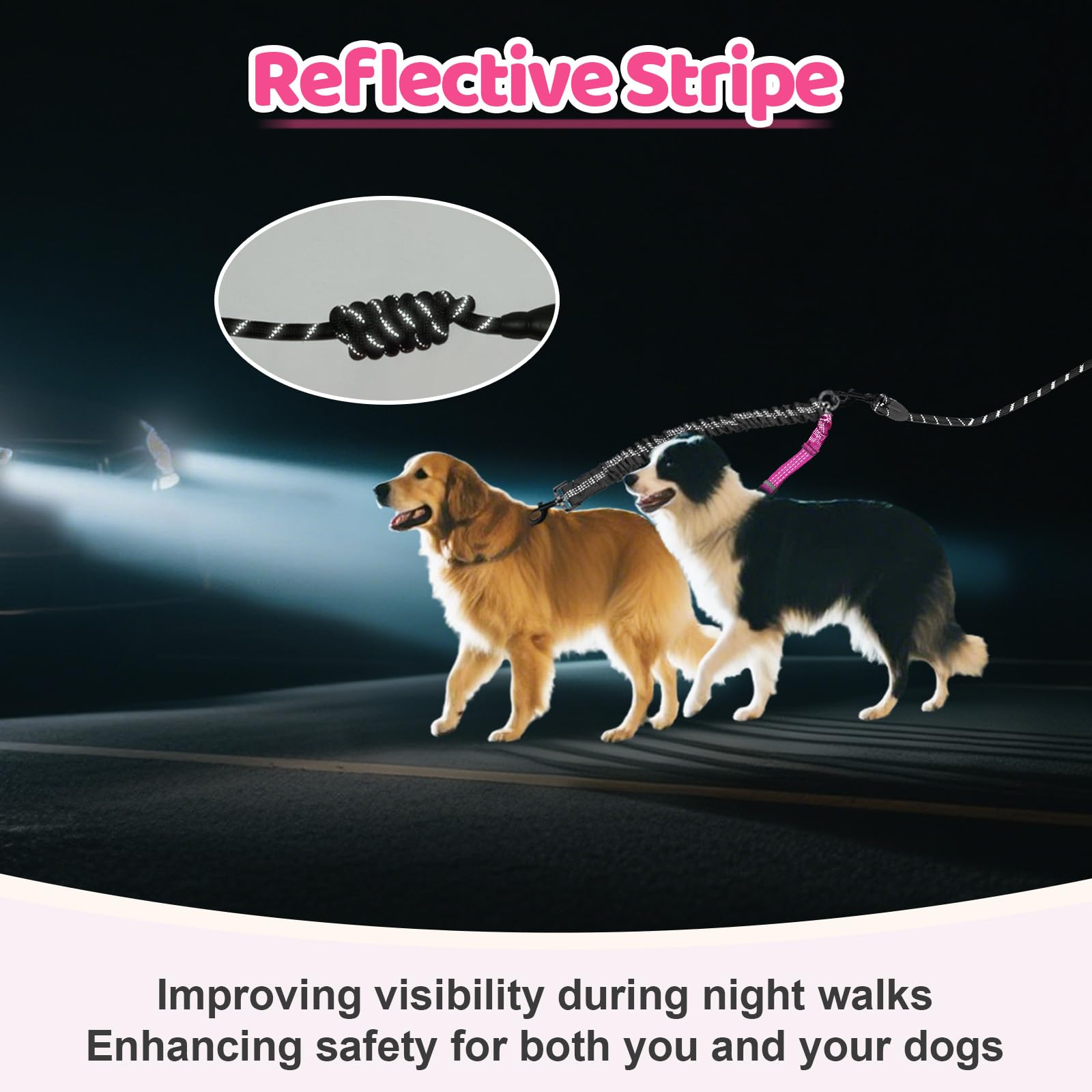 LEOSASA double dog leash enables two-dog walks for coordinated outings