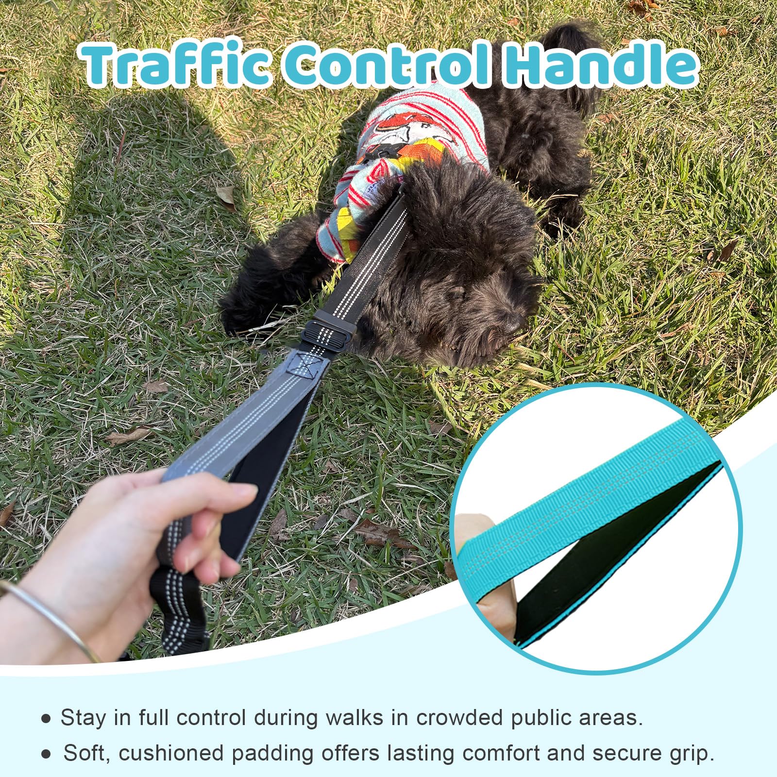 LEOSASA heavy-duty clip and nylon leash resist wear during daily outdoor adventures.