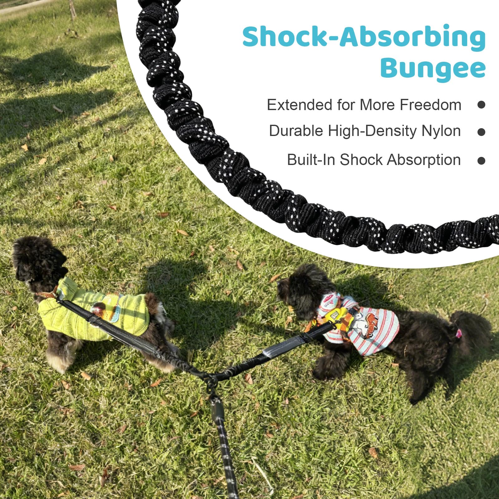 LEOSASA retractable bungee leash absorbs shocks from sudden lunges.