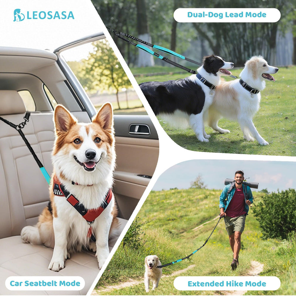 LEOSASA two-dog-walk-training setup supports training and balanced socialization.
