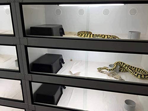 Leoterra XL snake hide top view demonstrates generous interior space for adult ball pythons.
