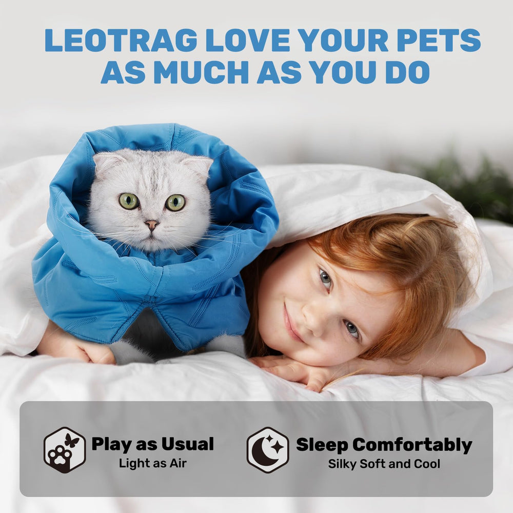 Leotrag cat recovery collar worn-on-kitten scenario emphasizes quick secure use