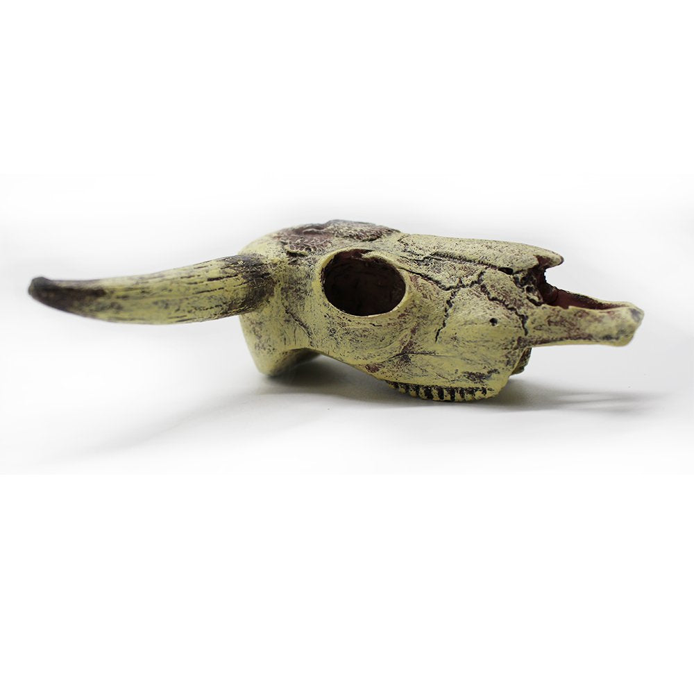 Leoyoubei resin cattle skull decor suits micro aquascapes and terrariums for visual interest
