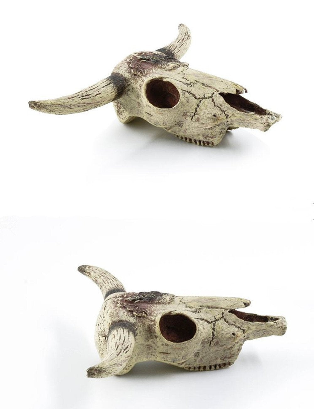 Leoyoubei aquarium skull ornament with cave detail for freshwater and saltwater tanks