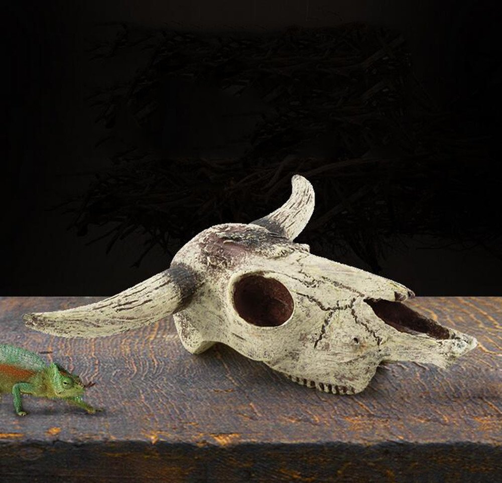 Leoyoubei cattle skull decor enhances micro-landscape and provides hiding space in planted tanks