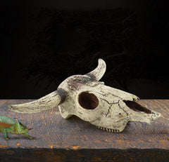 Leoyoubei cattle skull decor enhances micro-landscape and provides hiding space in planted tanks