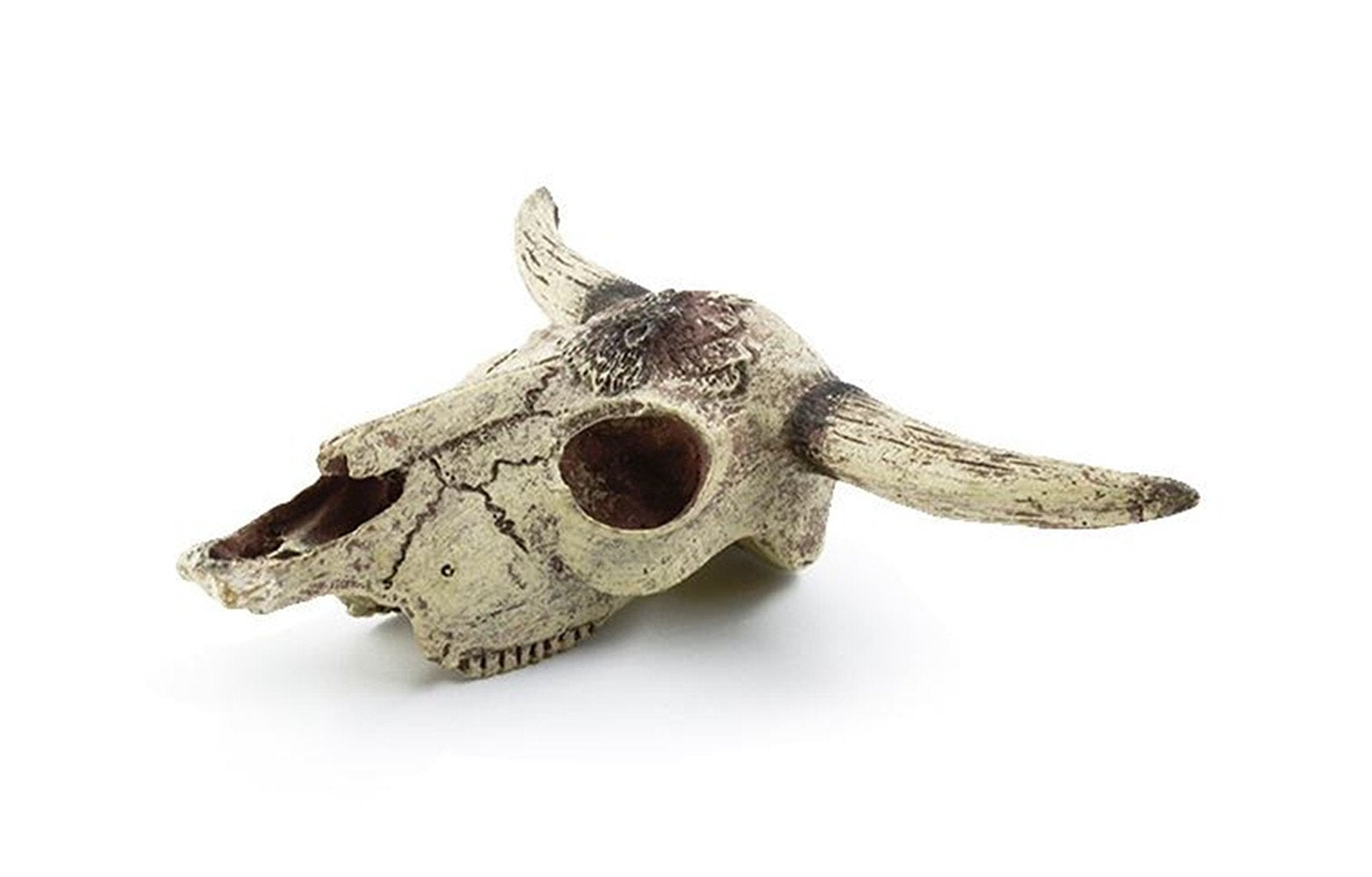 Leoyoubei skull ornament sinks naturally and protects tank bottoms from scratches