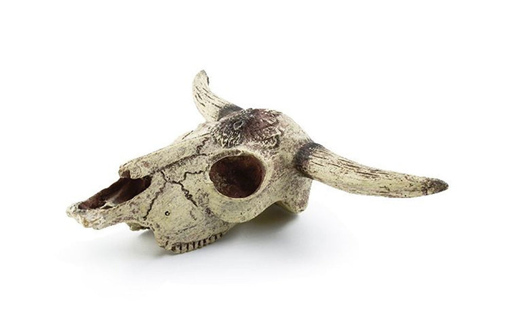 Leoyoubei skull ornament sinks naturally and protects tank bottoms from scratches
