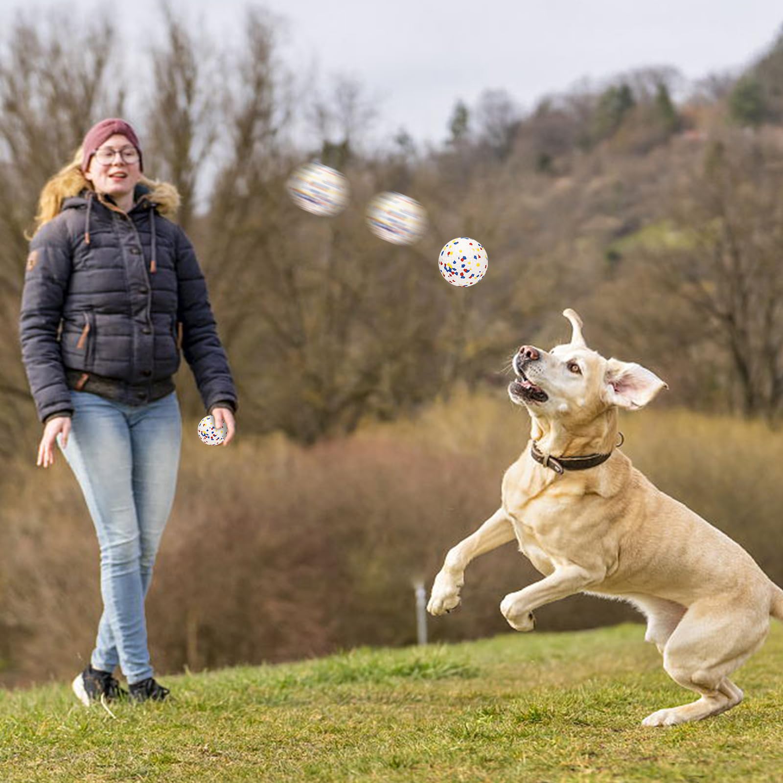 Lepawit dog ball bounce in action for training and play