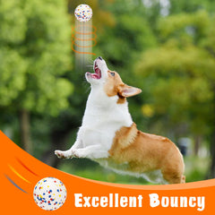Lepawit floating dog ball over water for pool fetch