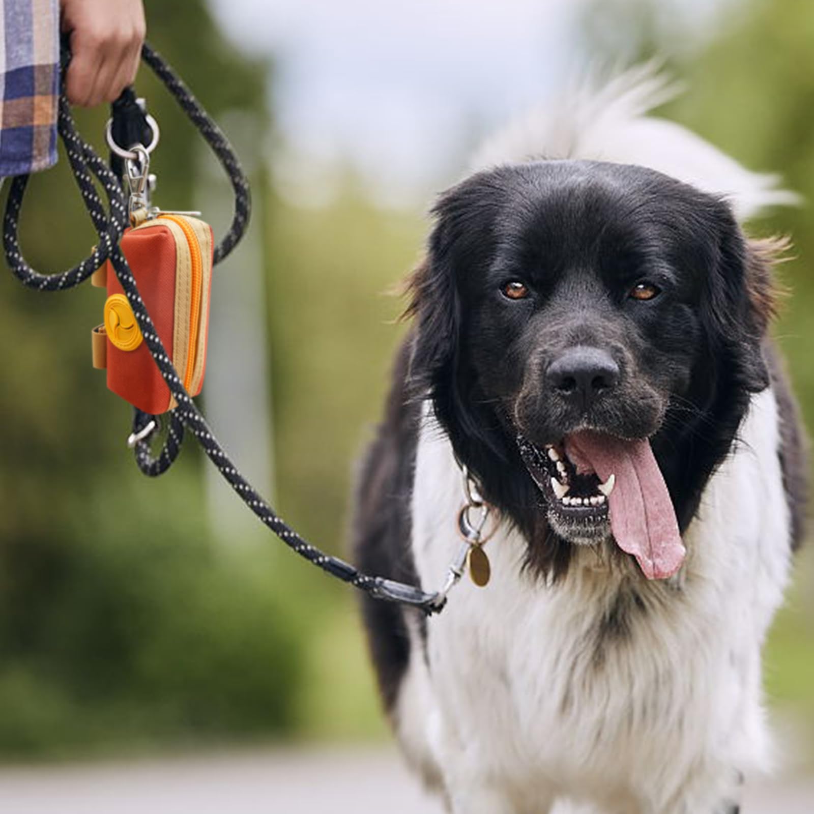 Lepawit poop bag holder on-leash setup offers easy access during walks and training.