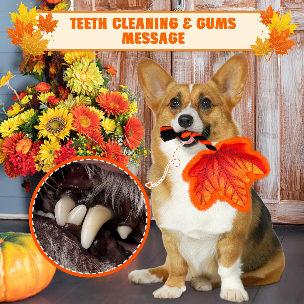 Lepawit small-to-medium dogs toy with gentle chew-friendly design.