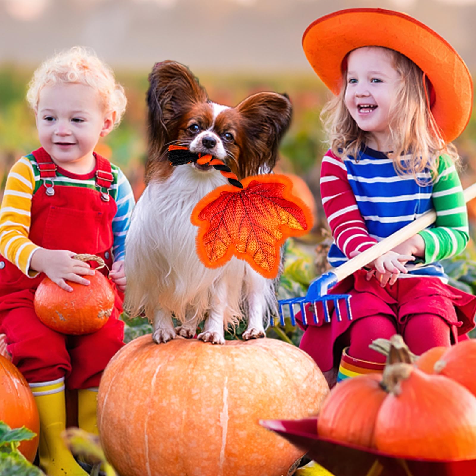 Lepawit Thanksgiving dog gift with cozy plush and maple leaf design.