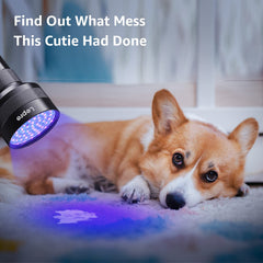 Lepro 51 LEDs UV light handheld detects hidden stains on fabrics and carpets