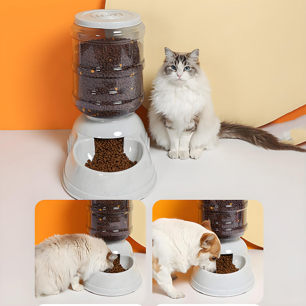 Leptzoa automatic-feeder bowl refill action shows bowls refilling as pets eat.