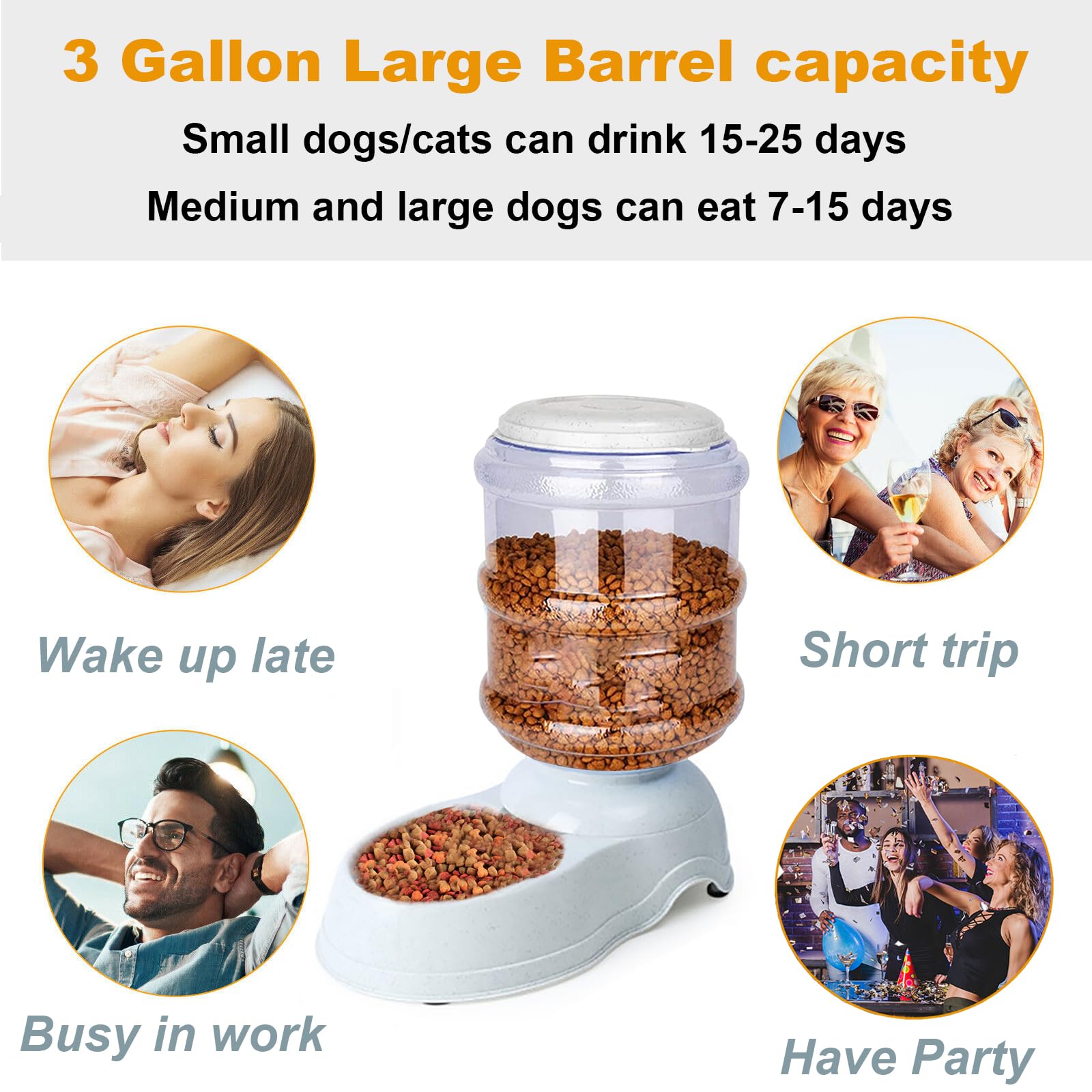 Leptzoa elevated-feeder design promotes comfortable posture during meals.