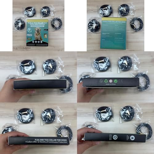 Lerqua dog flea collar in outdoor setting demonstrates durable protection.