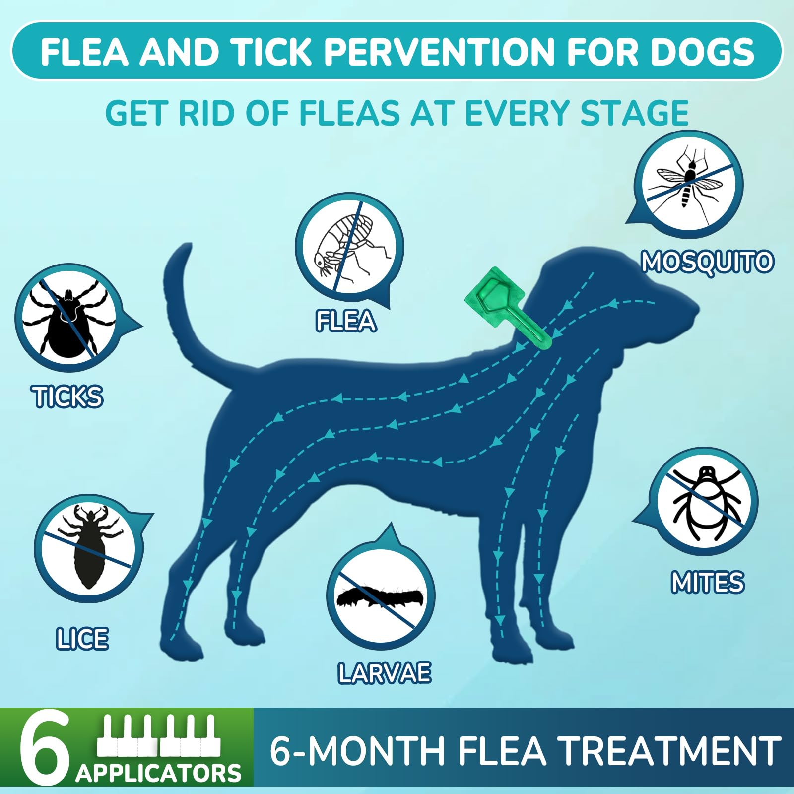 Lerqua six-tube packaging showing six-month supply for pets