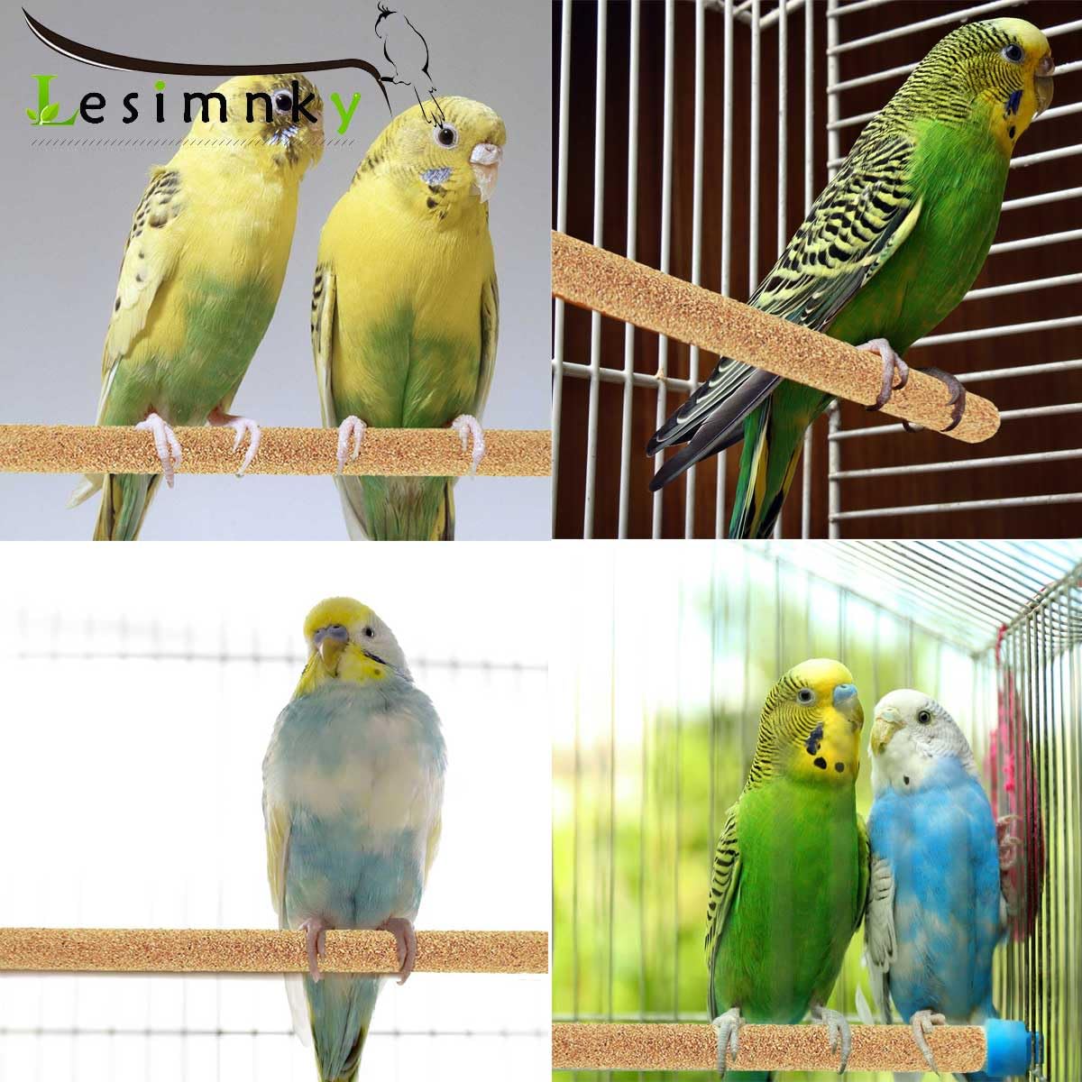 Lesimnky beak-and-toe polishing covers promote gentle grooming routines.