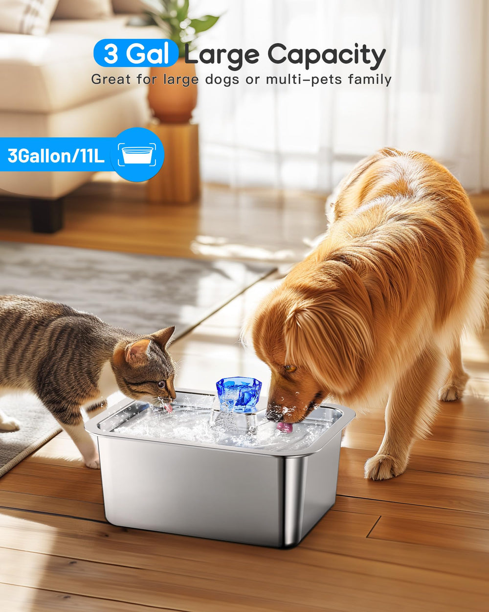 Lesotc 3 gallon large dog water fountain front view for multi-dog households