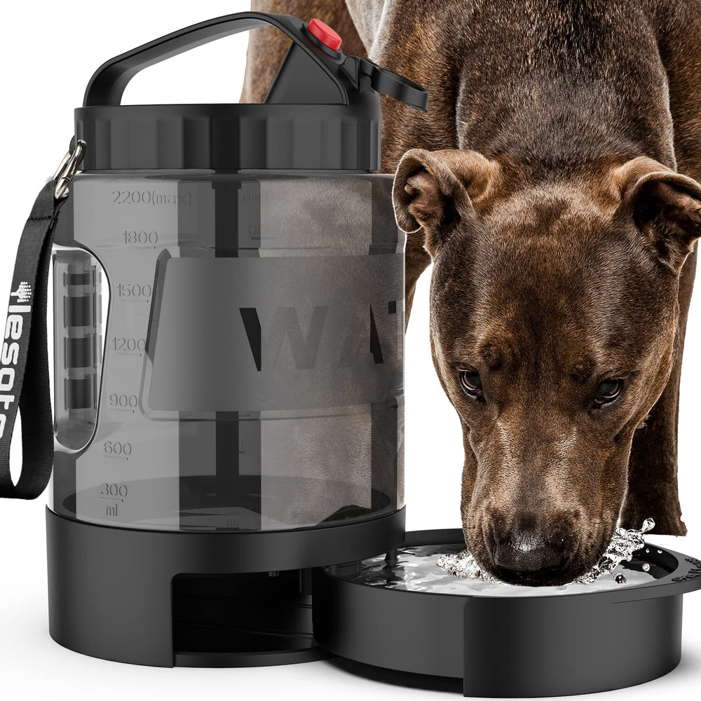Lesotc 77oz travel bottle filled for outdoor adventures, keeps pups hydrated during hikes.