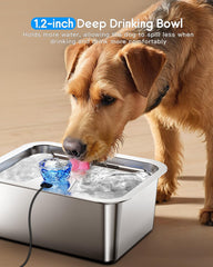 Lesotc diamond crystal spout provides natural water flow attracts pets