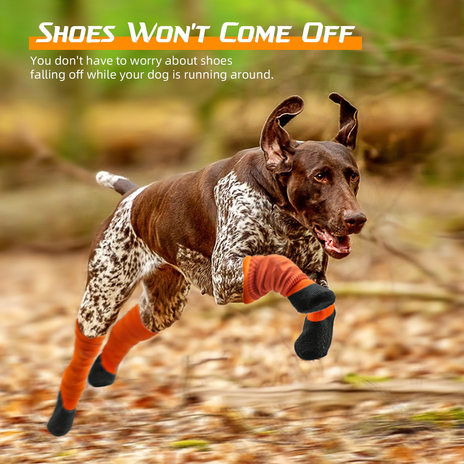 Lesotc dog boots provide hiking grip and stability on uneven trails.