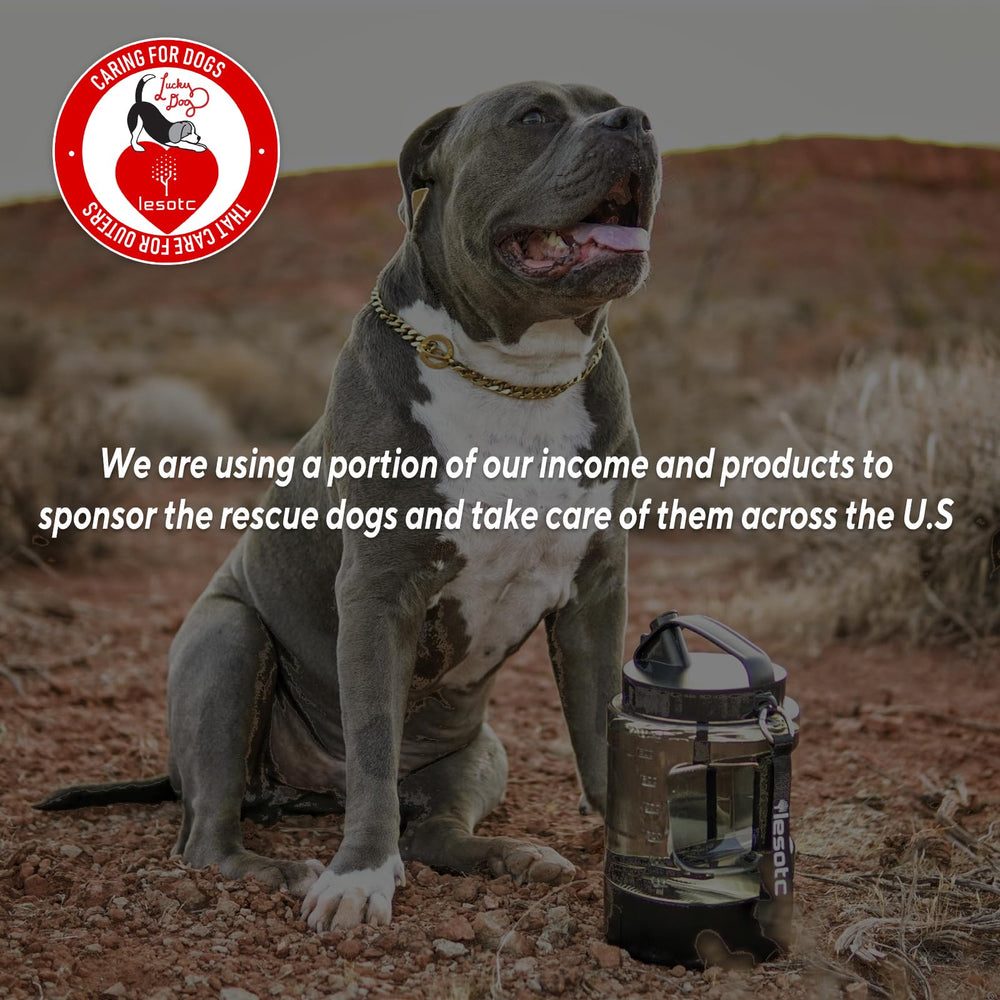lesotc dog water bowl dispenser 77oz leak-proof test highlights spill prevention during trips