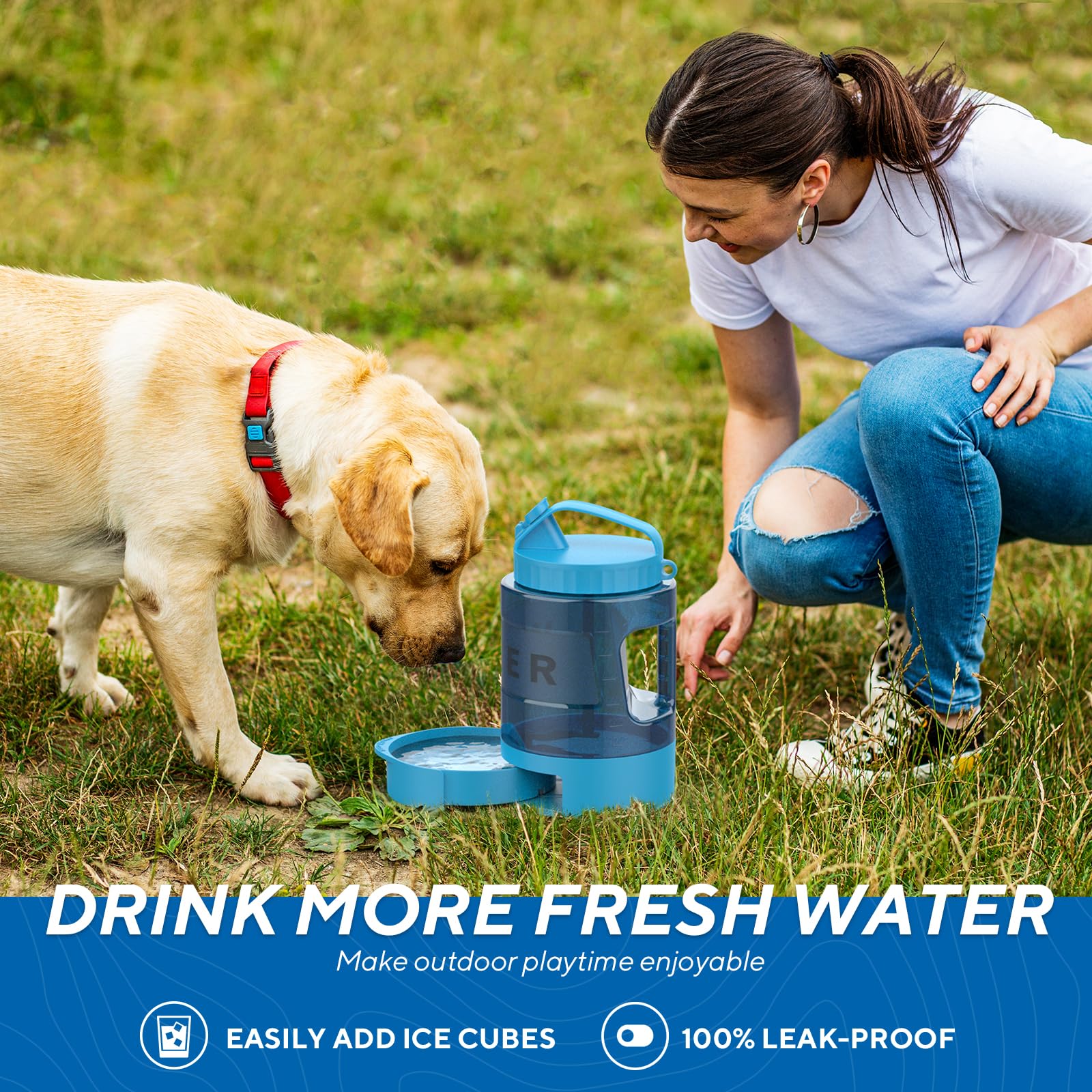 lesotc dog water bowl dispenser 77oz sealed gasket ensures spill-free use
