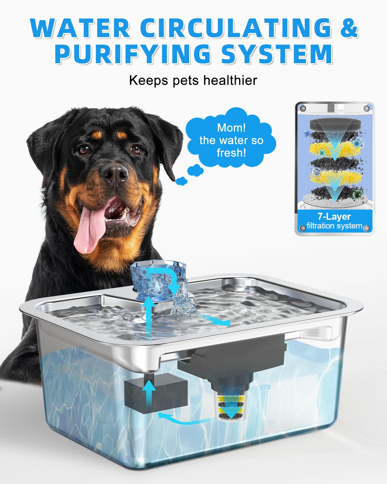 Lesotc quiet-pump operation keeps the home peaceful while pets drink.