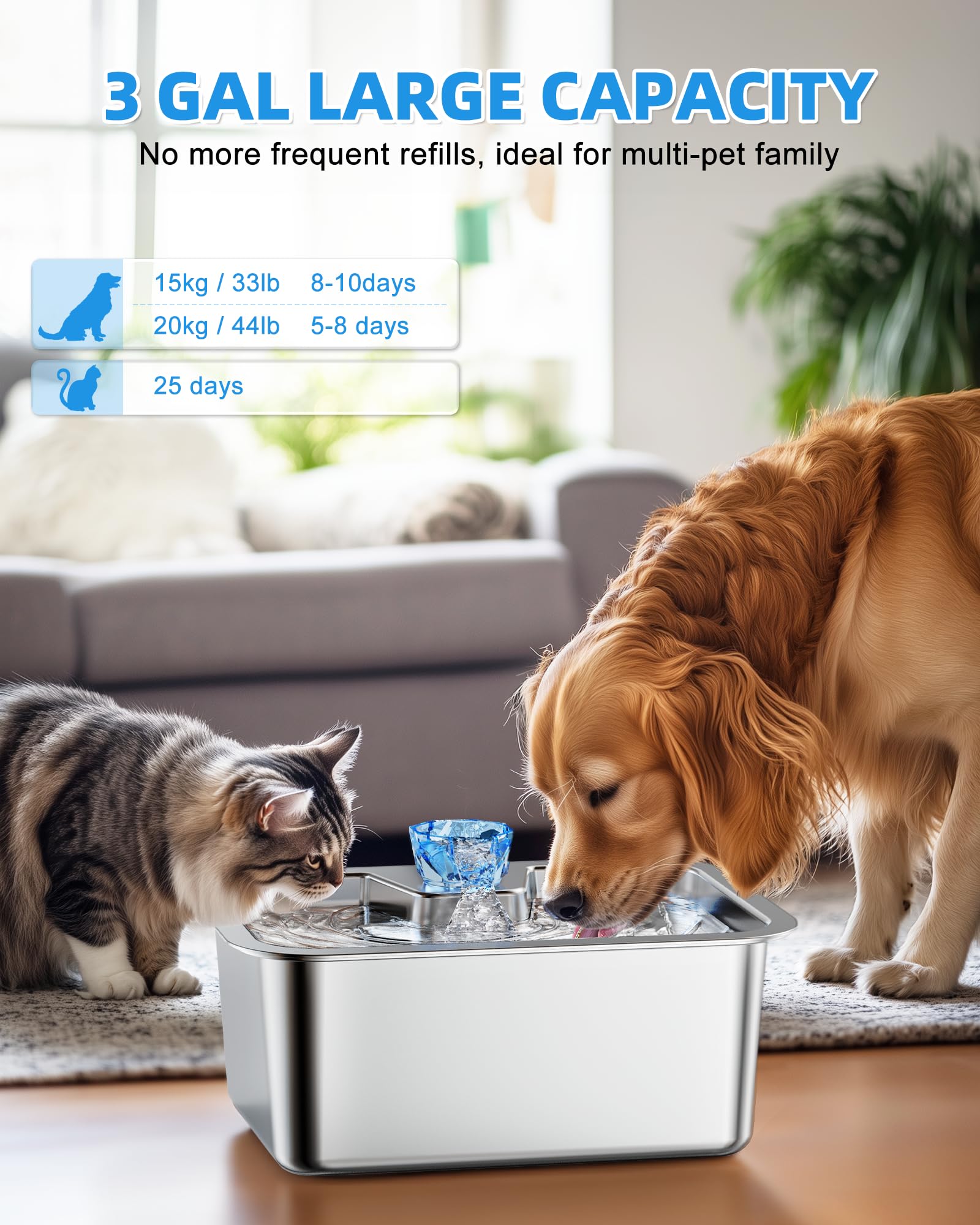 Lesotc stainless-steel bowl provides durable, easy-clean hydration for pets.
