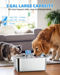 Lesotc stainless-steel bowl provides durable, easy-clean hydration for pets.