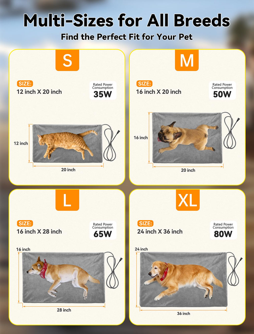 Lesotc Pet heater keeps animals cozy during cold outdoor days.