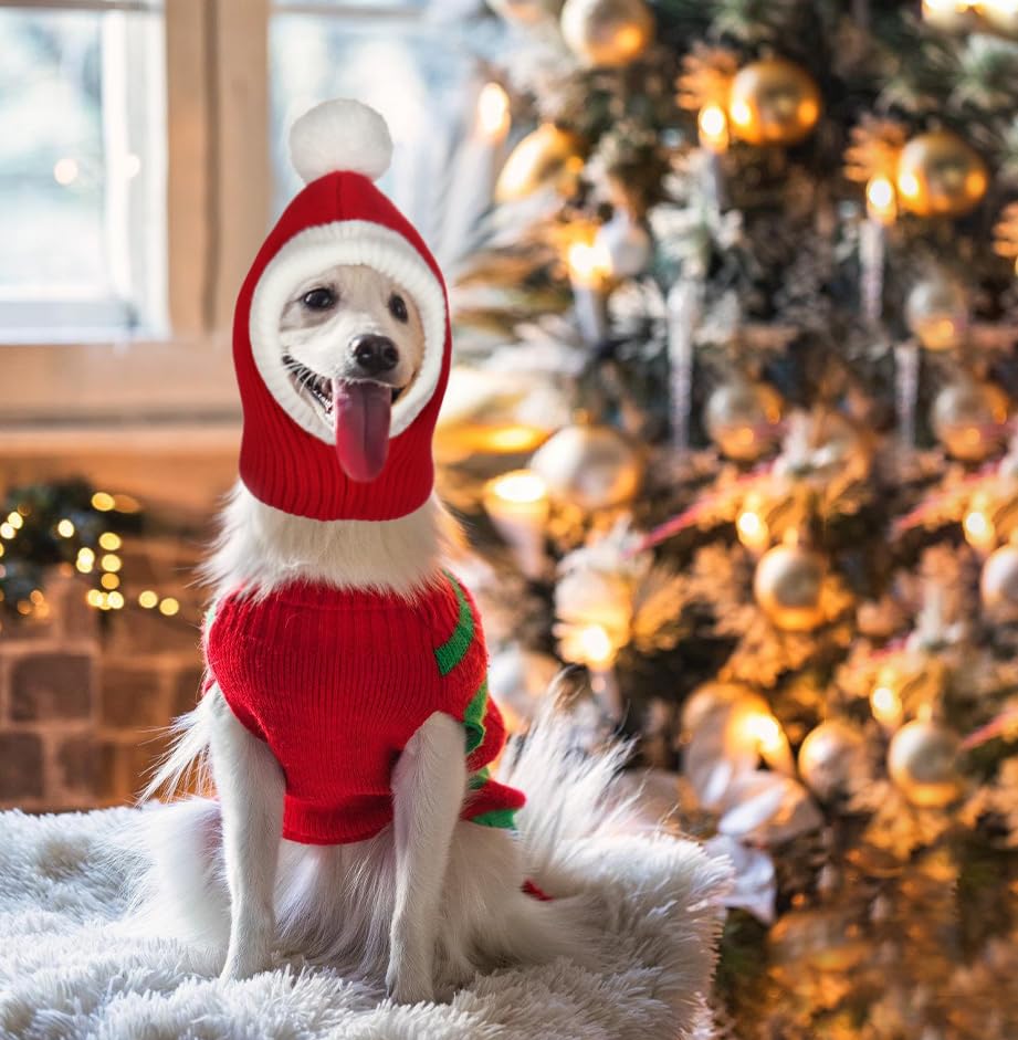 Less bad Lifeunion full-wrap dog hat design securing warmth around head and neck
