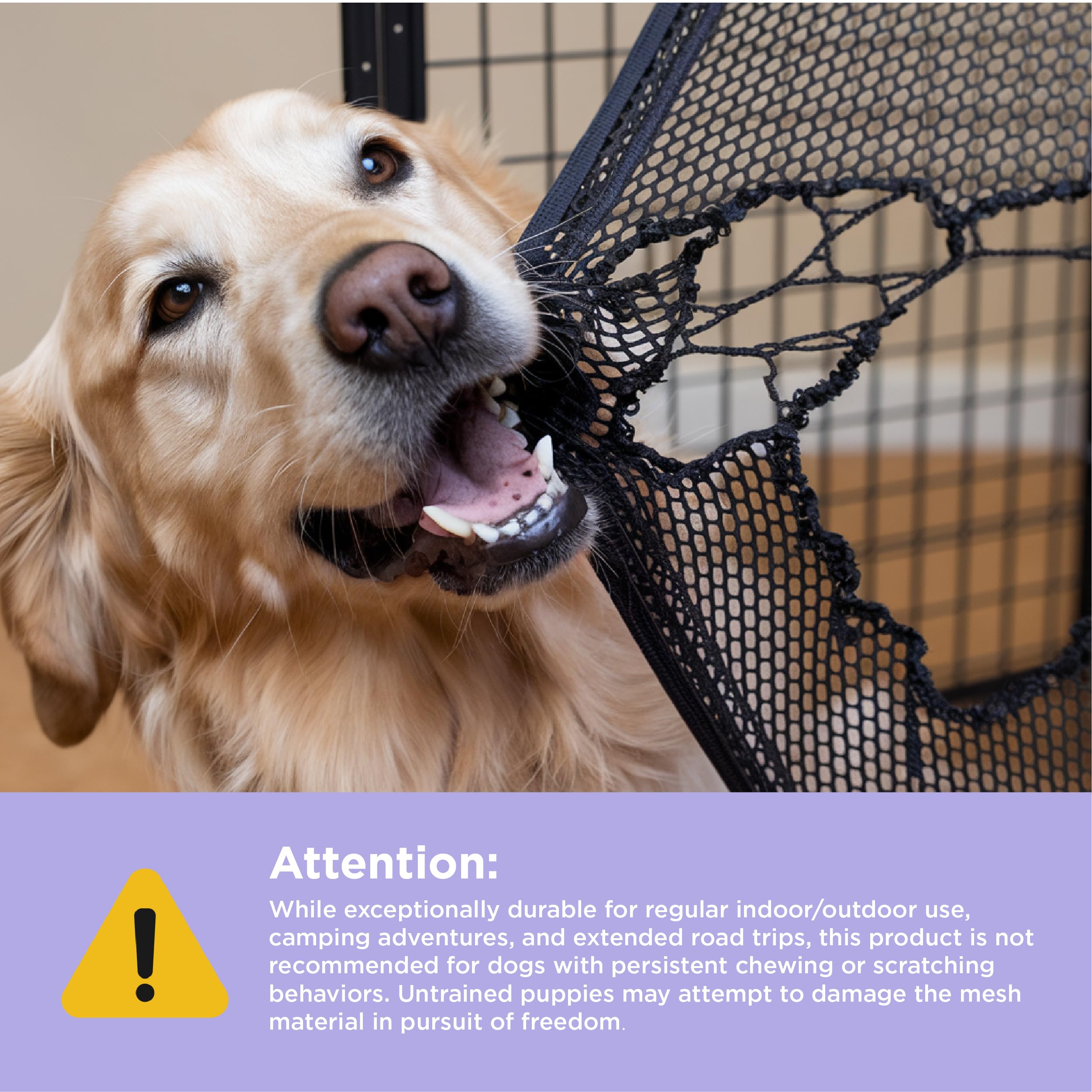 LE SURE Lesure collapsible dog crate open, showcasing mesh windows for ventilation