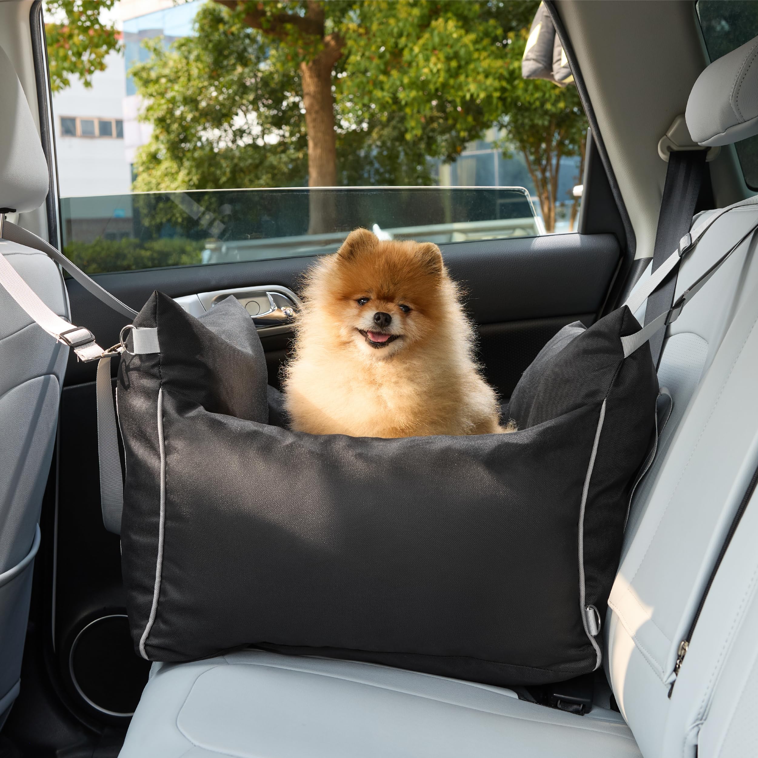 LE SURE Lesure booster seat installed in front seat for versatile placement