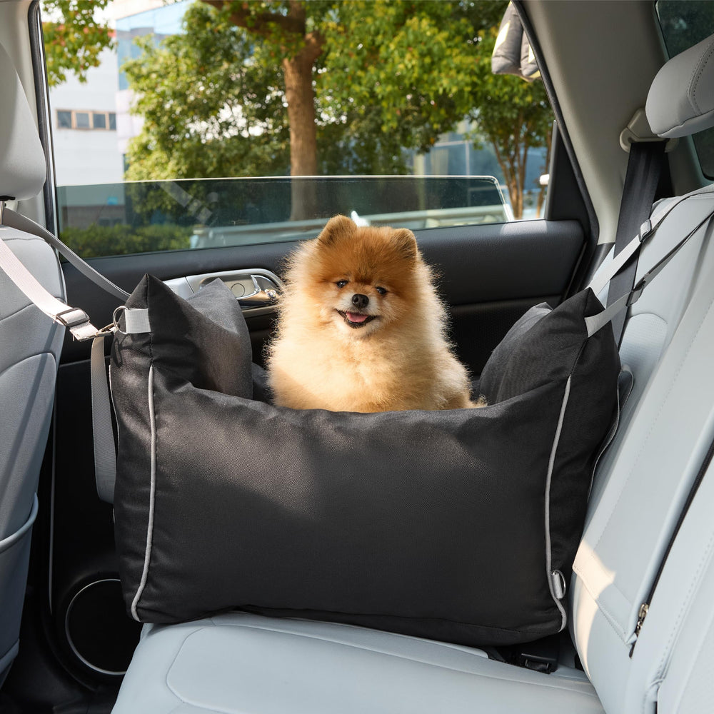 LE SURE Lesure booster seat installed in front seat for versatile placement