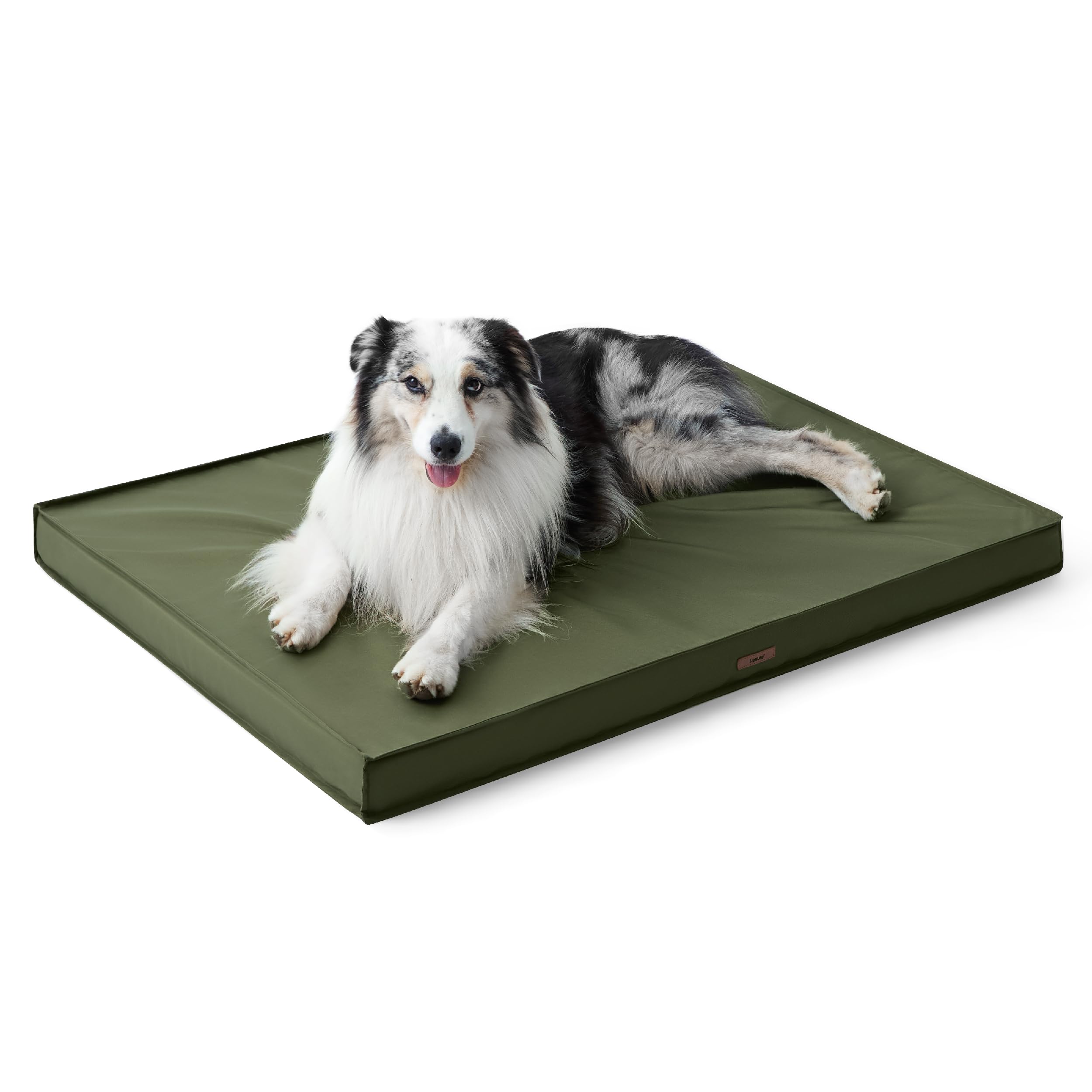 LE SURE 36x27 size shows generous space for large dogs.