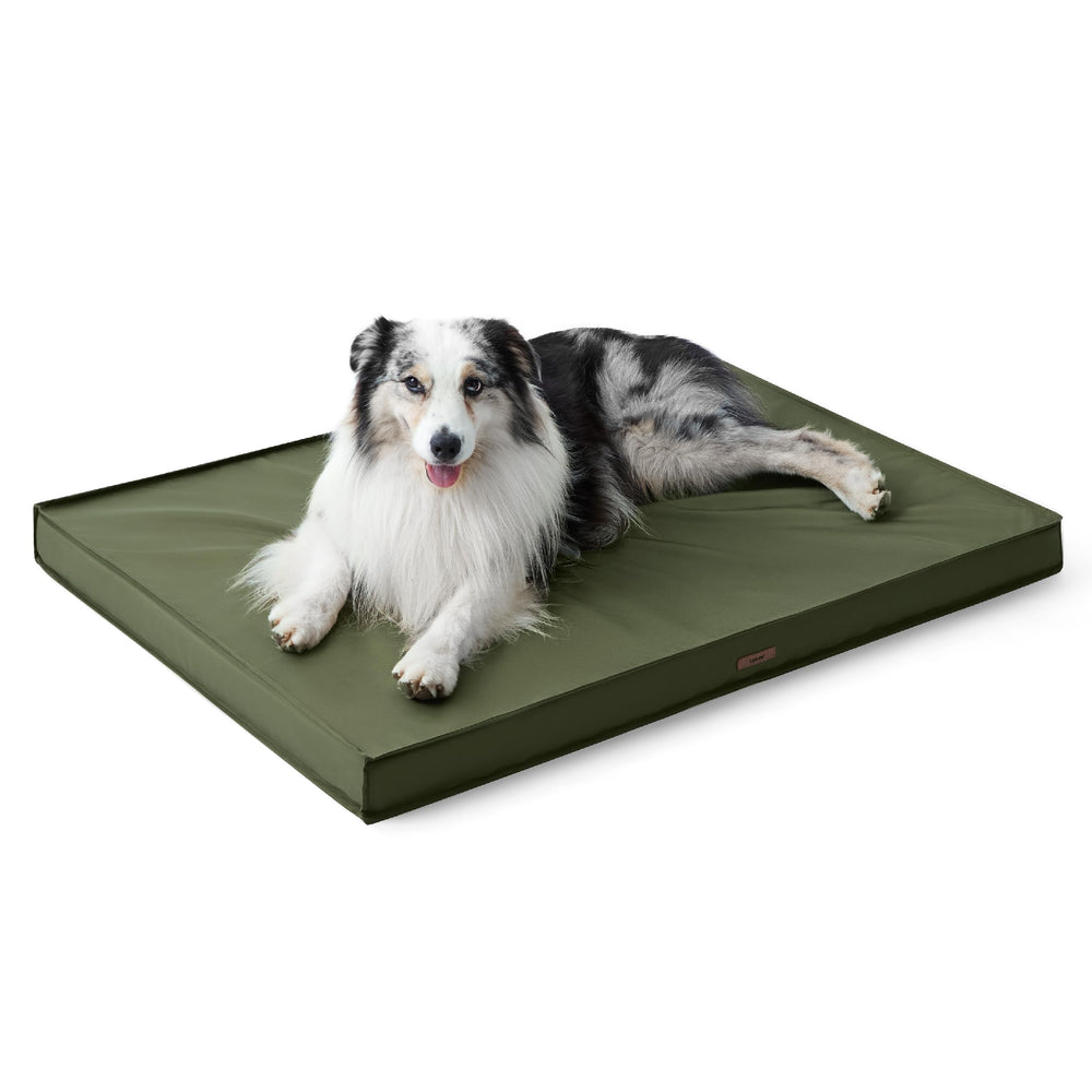 LE SURE 36x27 size shows generous space for large dogs.