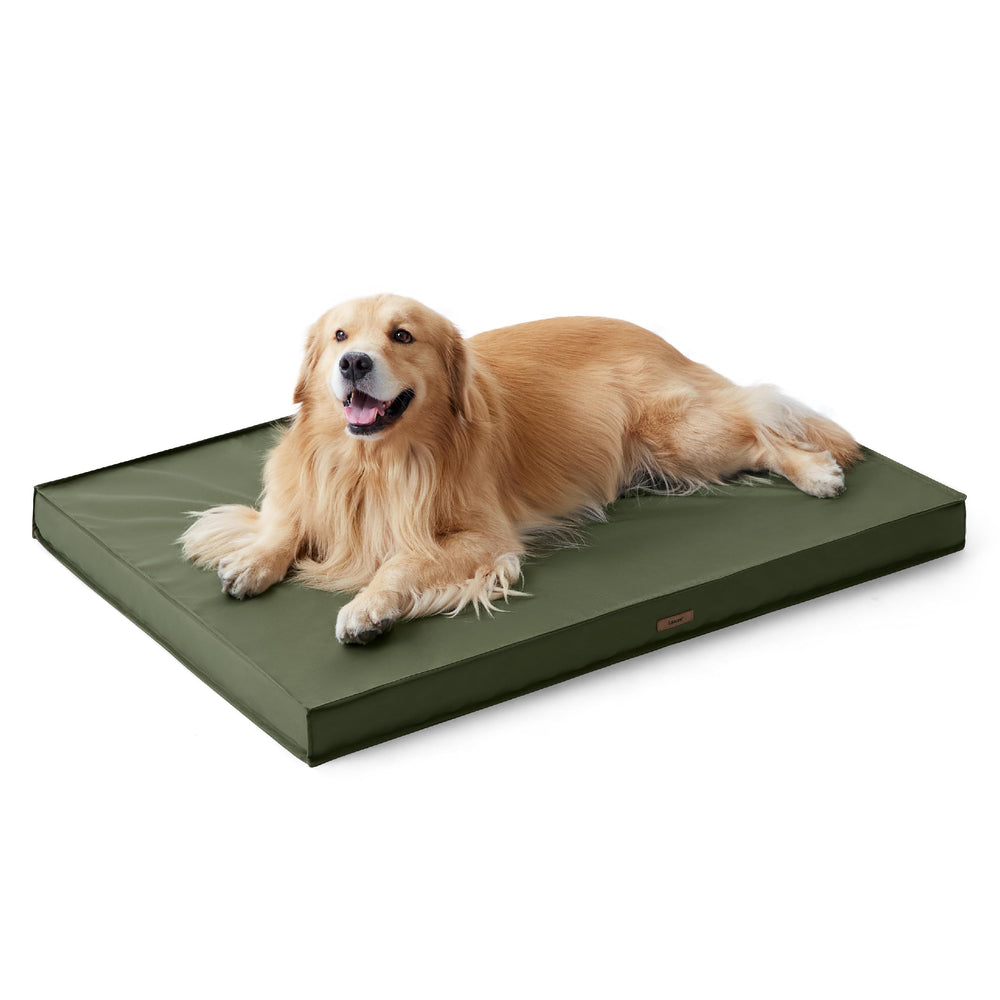 LE SURE 44x32 inch bed dimensions fit extra-large dogs for roomy lounging.